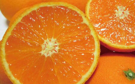 【2025年2月下旬～3月下旬順次発送予定】有田育ちの完熟清見オレンジ(ご家庭用)　約3kg【ard016A】