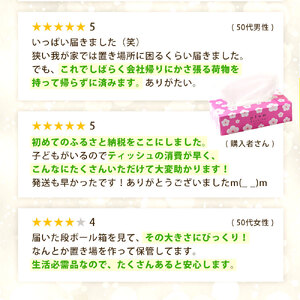 【ふるさと納税】 ティッシュ ティッシュペーパー 「 大容量 プラムファッション BOXティッシュ 定期便 16パック（ケース80個入り）全3回(毎月) 」 [ 常備品 生活用品 まとめ買い 蛍光染料