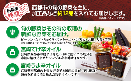 【先行予約】農家直送新鮮野菜と唐辛子オイル詰め合わせセット　2026年発送＜1.5-23＞＊