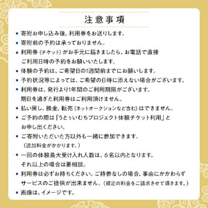 【ふるさと納税】☆沖縄芸能三線体験☆～沖縄貸衣装体験付き～  | 沖縄 旅行 クーポン 体験 トラベル 人気 おすすめ リゾート チケット 北谷 ちゃたん おすすめ 送料無料
