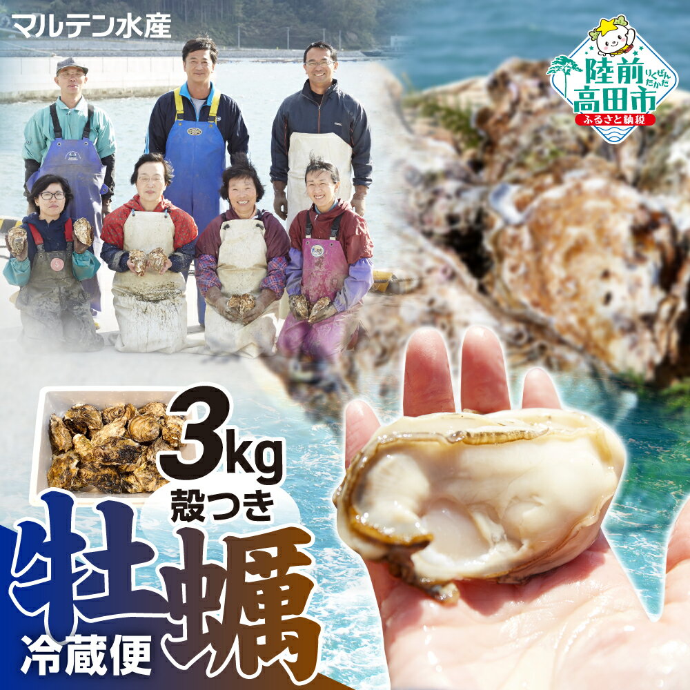 【ふるさと納税】 牡蠣 殻付き 生食 約 3kg 冷蔵 (ナイフ・軍手・剥き方説明書付き)[ 真牡蠣 牡蠣 かき カキ 生牡蠣 生食用 旬 新鮮 海鮮 濃厚 料理 鍋 牡蠣鍋 カキフライ バーベキュー BBQ キャンプ おいしい TV テレビ 訳あり 産地直送 三陸 岩手 陸前高田 マルテン水産 ]