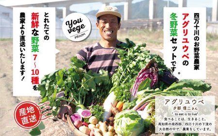 【 2回定期便 早期受付 数量限定 】アグリユウベの冬野菜セット (小) とれたて 新鮮 農家直送 国産 野菜 野菜便 やさい 野菜 冬野菜 産地直送 国産 旬 高知県 四万十市 四万十 しまんと 定
