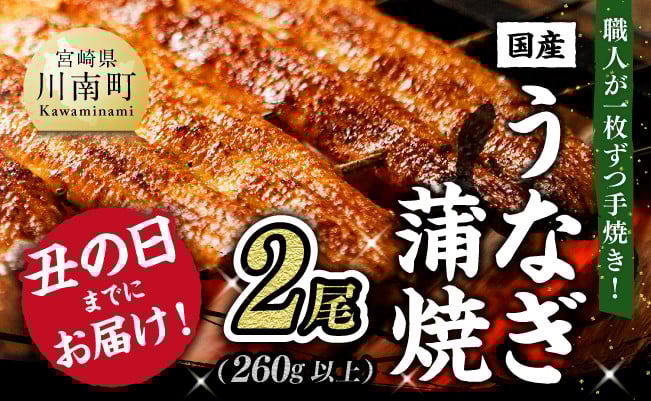 
            【丑の日 までにお届け！】 ひむか 山道うなぎ 蒲焼 2尾分 (260g以上) 【国産 九州産 宮崎県産 うなぎ ウナギ 鰻 鰻の蒲焼き 蒲焼 】
          