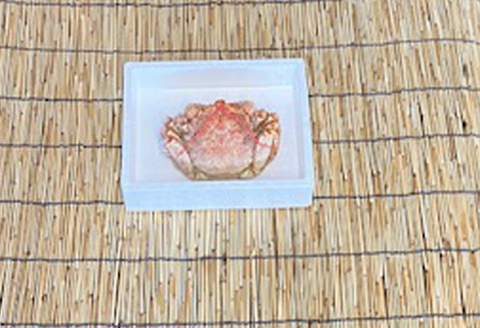 毛かに400g前後～550g前後×1尾 B-76007