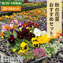 【ふるさと納税】秋 の 花苗 おすすめ セット 20～24ポット(10～1月発送) ガーデニング 園芸 お花 花 フラワー　【赤磐市】　お届け：2024年10月上旬～2025年1月下旬