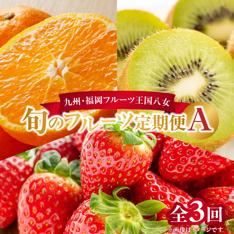 九州・福岡フルーツ王国八女 旬のフルーツ定期便【全3回】A ＜配送不可：北海道・沖縄・離島＞ フルーツ 定期便 あまおう みかん キウイ 季節のフルーツ 果物 おすすめ セット 産地直送 福岡県 八女