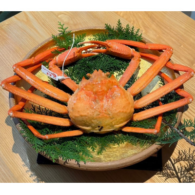 【産地直送】越前産　紅ずわいがに　1.0kg以上×1杯【配送不可地域：離島・北海道・沖縄・東北・関東・中国・四国・九州】【1541081】