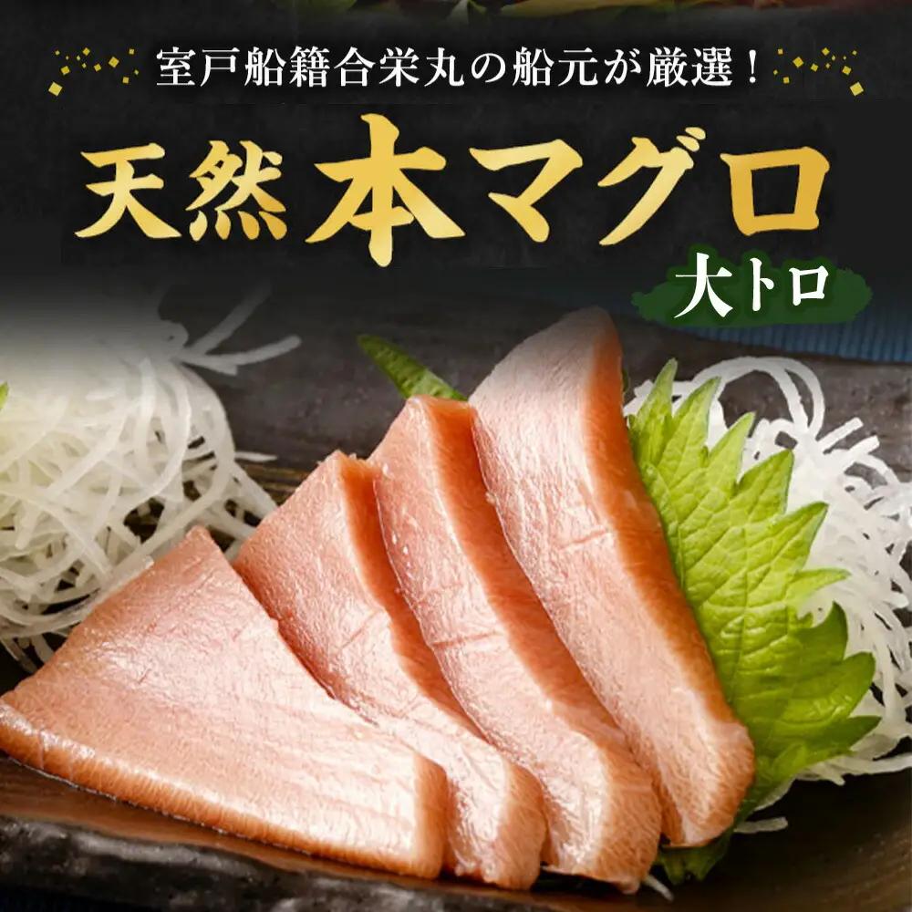 本まぐろ 大トロ 約500g まぐろ【ge013】