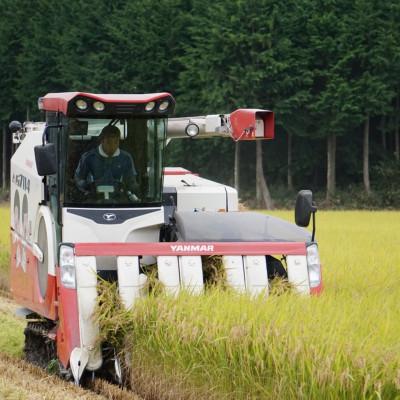 ふるさと納税 那須塩原市 那須塩原市産コシヒカリ 精米10kg |  | 02