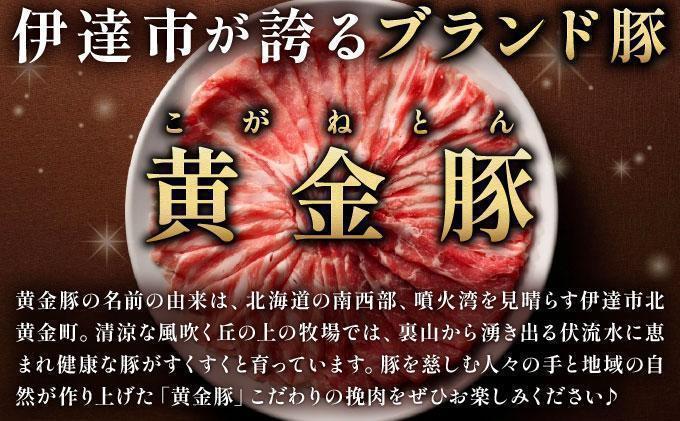 ＜6月発送＞＜黄金豚＞ブランドポーク 北海道 豚ひき肉 普通挽き 200g 30パック 計6kg | 伊達産 黄金豚 三元豚 ミンチ 挽肉 お肉 小分け ハンバーグ 餃子 カレー 大矢 オオヤミート 