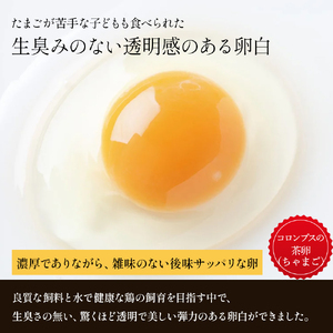 卵が苦手な子どもも食べられた！生臭くないおいしい卵 6個入×5P たまご ／Gbn-A03