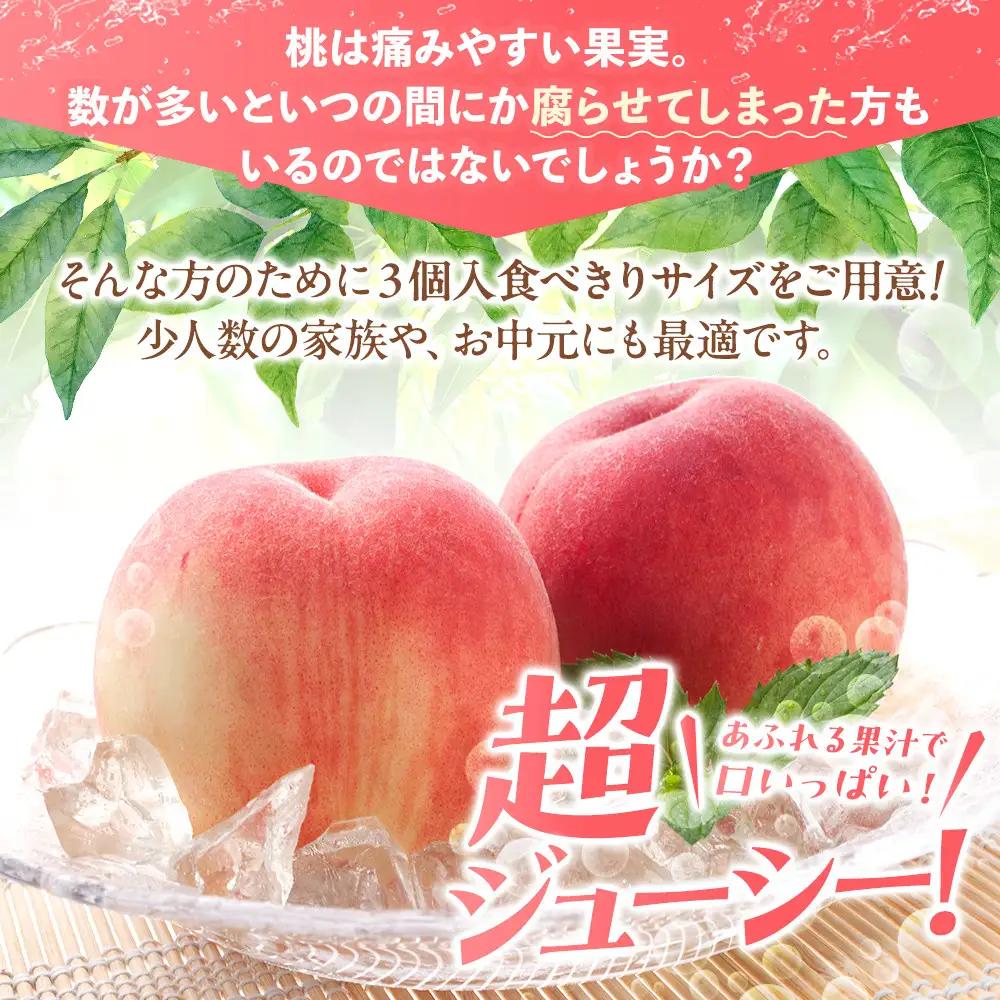 ［秀品］川中島白桃 食べきりやすい3個入り［2026年7月末頃から順次発送］こだわり 農家厳選 先行予約 モモ［KG16］