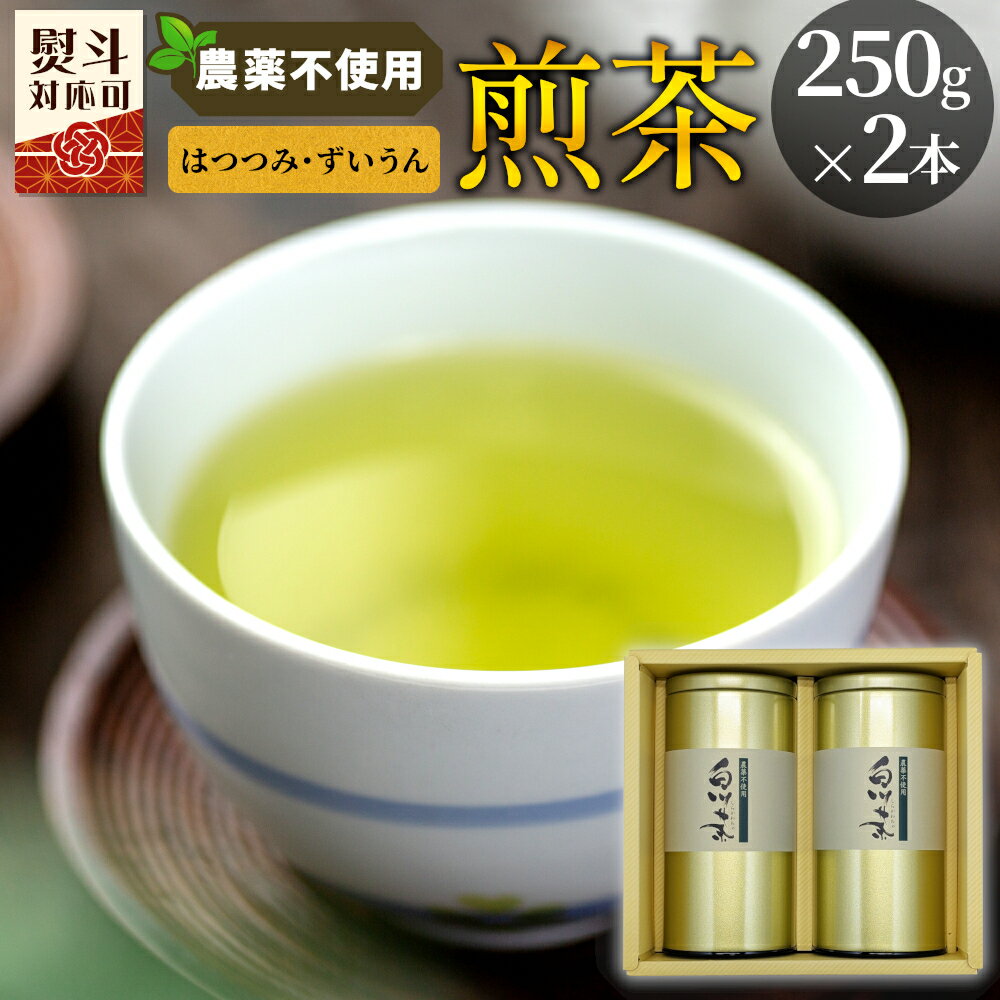 【ふるさと納税】農薬不使用！煎茶 ギフト NO.1 （はつつみ250g＋ずいうん250g 計500g） 常磐園 日本茶 緑茶 煎茶 茶葉 お茶 一番茶 春摘み 大容量 岐阜県 東白川村 お取り寄せ 贈答用 プレゼント 母の日