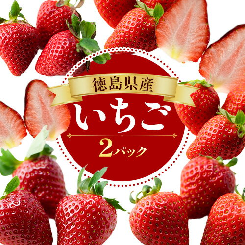【ふるさと納税】いちご 250g 〜 300g × 2パック 《1月上旬‐4月末頃より出荷予定》ヴェリタス株式会社 徳島県 美馬市 いちご 青果物 くだもの 果物 苺 イチゴ やよいひめ さちのか おいCベリー はるひ すず