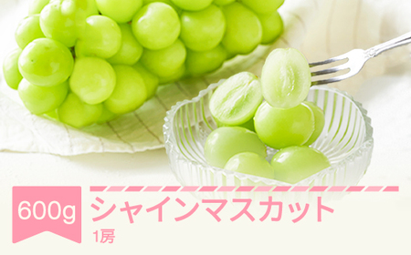 ぶどう ブドウ シャインマスカット 令和七年産 2025年産 1房(約600g) 果物 送料無料 ns-busmx600