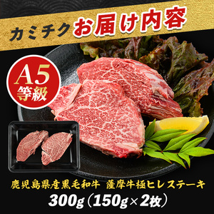 ヒレステーキ A5等級 黒毛和牛 薩摩牛 極 ヒレステーキ 300g IB112-018