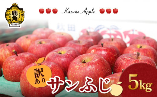 《先行予約》【訳あり】鹿角りんご「サンふじ」家庭用 5kg（18～20玉前後）【佐藤秀果園】●2024年12月上旬発送開始　りんご リンゴ 林檎 サンふじ ふじ フジ 訳あり 秋田県 秋田 あきた 鹿角市 鹿角 かづの 5kg 5KG 5Kg ５kg ５KG 5 ５ 産地直送 農家直送