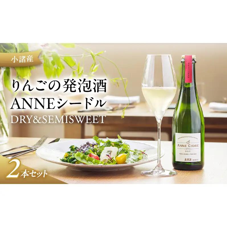 小諸産 りんごの発泡酒 ANNEシードル（DRY＆SEMISWEET）２本セット