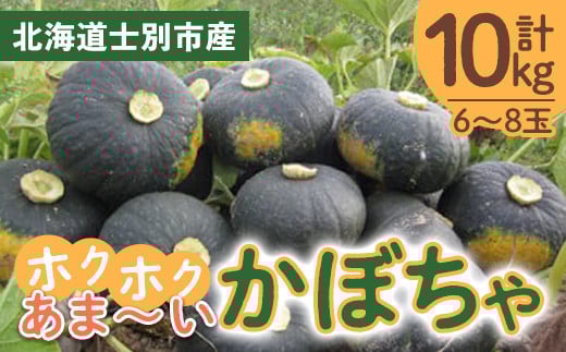【B7082】北海道士別産 かぼちゃ（計10㎏・6～8玉）【先行予約受付中！9月下旬以降、準備ができ次第順次発送】北海道産 国産 カボチャ 南瓜 野菜 煮物 サラダ 天ぷら 甘い 味覚の秋 【吉方農園】