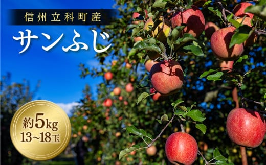 サンふじ（約5㎏、優13～18玉）