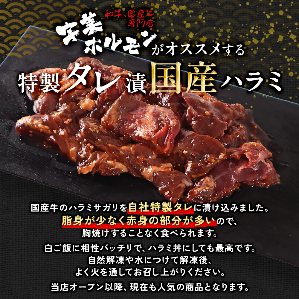 牛肉 焼肉 国産 特製たれ漬 牛ハラミ サガリ 250g [宇美ホルモン 福岡県 宇美町 um40azp100002] ハラミ はらみ 牛はらみ 牛 肉 焼き肉 ホルモン タレ漬け たれ漬け