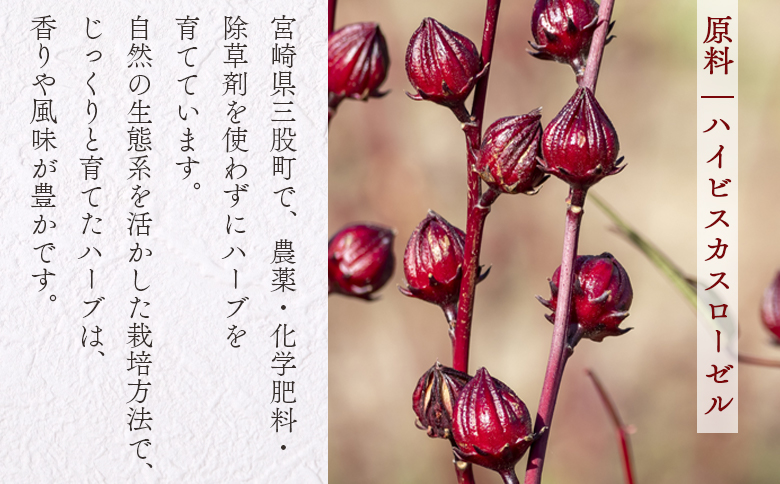 ＜塩ローゼル 【小粒】70g＞ 国産ハーブ 香りや風味が豊か しそ風味 梅風味 混ぜご飯 箸休め 薬味 漬物 和食 和風 おにぎりの具 ごはん ご飯 パン パスタ サラダ 調味料 塩漬け 宮崎県 三股