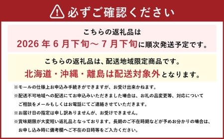 岡山県産 ニューピオーネ 約600g （ 約600g×1房 ） ぶどう ブドウ 葡萄 くだもの 果物 果実 フルーツ 種なし 種無し 国産 【 2026年6月下旬～7月下旬発送予定 】