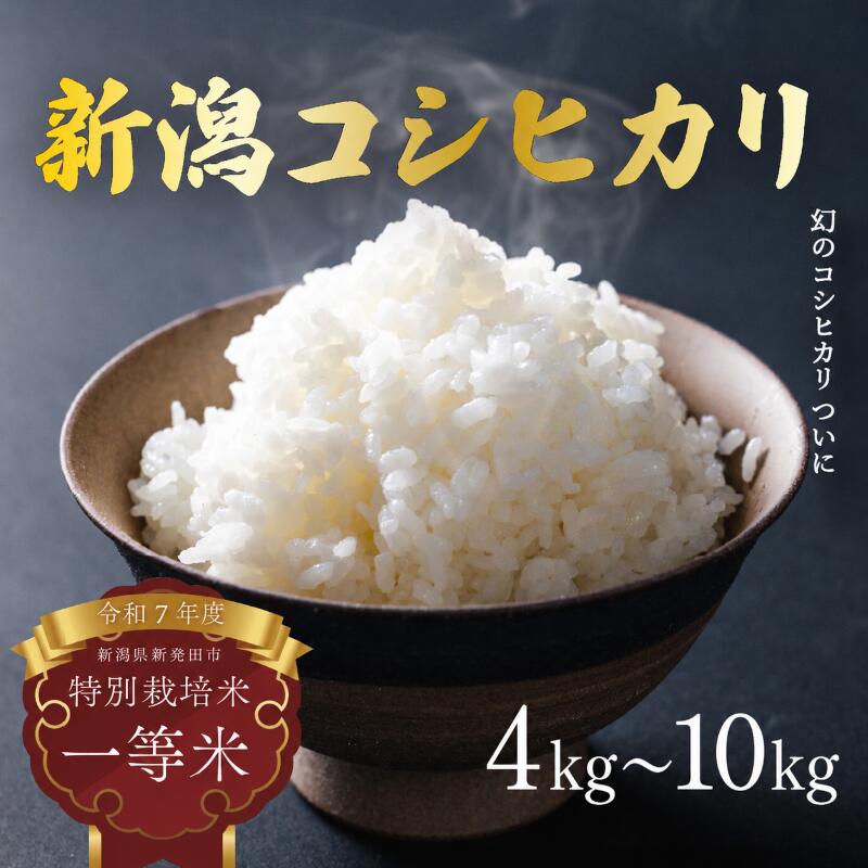 【ふるさと納税】 発送日がわかる！ コシヒカリ 特別栽培米 クラシック 選べる 4kg（2kg×2袋）5kg（5kg×1袋）10kg（5kg×2袋）選べる 令和7年産 新潟県産 お米 白米 ご飯 精米 玄米 酵素 玄米 玄米食 おにぎり 弁当 個包装 小分け 星野農園 新潟県 新発田市 hoshino003P