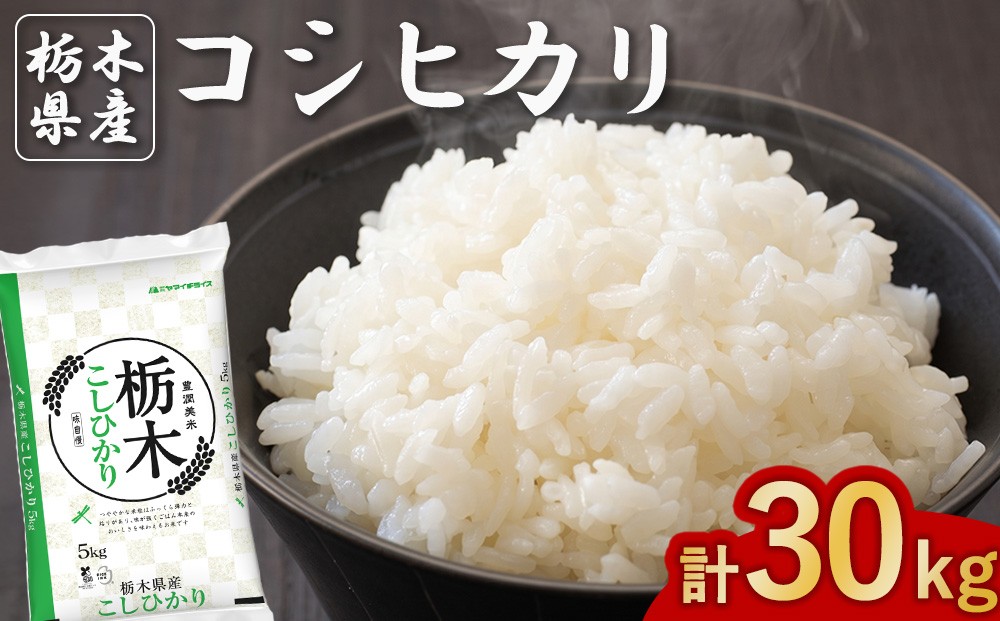 
                  【精米】栃木県産 コシヒカリ 5kg×6袋 合計30kg
                