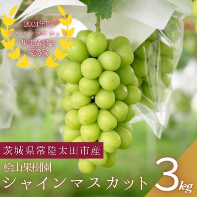 【数量限定!】桧山果樹園のシャインマスカット　3kg【配送不可地域：離島・沖縄】【1645136】