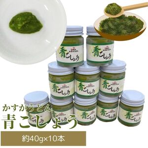 【ふるさと納税】かすがの青こしょう こしょう かすがうどん 約400g 約40g×10個 M760