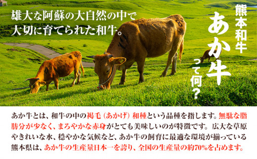 【6ヶ月定期便】熊本和牛あか牛 あか牛 ステーキ 食べ比べ6回（6ヶ月）《お申込み月の翌月から出荷開始》 三協ダイニン---so_fskatbtei_23_200000_mo6num1---