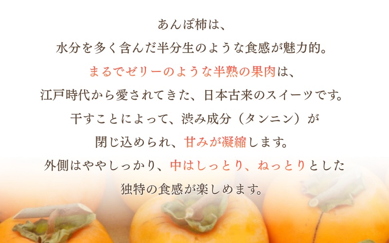 甘さが違う！とっても甘くなる生渋柿（平たねなし柿）吊るし柿用 T字枝or吊るしクリップ付 約2.5～3kg 約9～18個 １０月下旬～順次発送）(日付指定不可) -Ted【art040A】