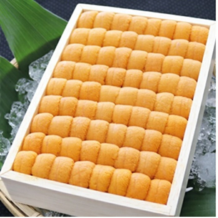 【ふるさと納税】 エゾバフンウニ弁当並べ詰め 250g × 2 折 [2026年3月上旬以降発送] うに ウニ 雲丹 バフンウニ エゾバフンうに えぞばふんうに 蝦夷バウンウニ 蝦夷ばふんうに ウニ丼 うに丼 雲丹丼 お取り寄せ グルメ 海鮮 北海道 根室市 E-71030