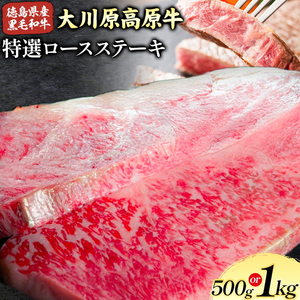 【ふるさと納税】大川原高原牛 特選ロースステーキ 選べる 内容量 計500g or 計1kg 冷凍便 肉の藤原 《30日以内に出荷予定(土日祝除く)》和牛 希少 大川原高原 牛肉 焼肉 ロース 牛肉 ステーキ 贅沢 バーベキュー BBQ キャンプ ギフト 贈答 徳島県 佐那河内村
