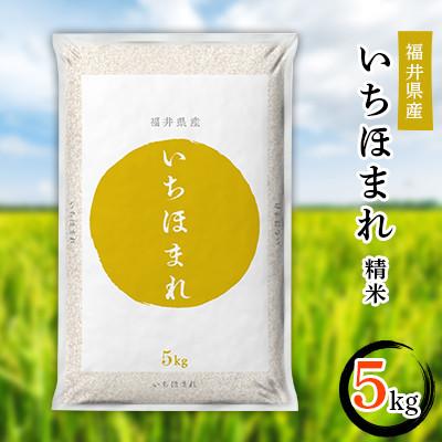 ふるさと納税 勝山市 【毎月定期便】3ヶ月分 いちほまれ5kg 全3回