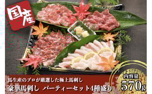 【国産】豪華馬刺し パーティーセット 4種盛り 熊本 馬刺し 4種 570g 盛合わせ 切れてる 特上 霜降り 上赤身 タテガミ フタエゴ 詰め合わせ セット 馬肉 馬 生食用 豪華 贈答用 ギフト JSファーム お中元 お歳暮 阿蘇 南小国町 送料無料