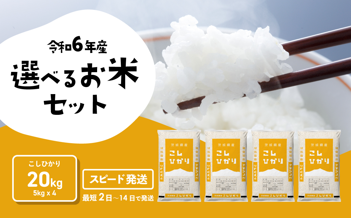 令和6年産 コシヒカリ 20kg [スピード発送] 米 お米 白米 精米
