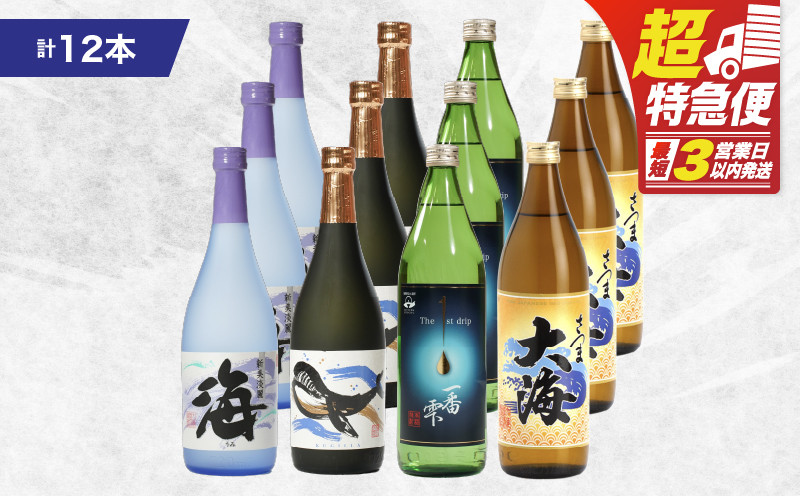 
1796 海の蔵「大海酒造」の飲み比べセット！A-２（合計12本）
