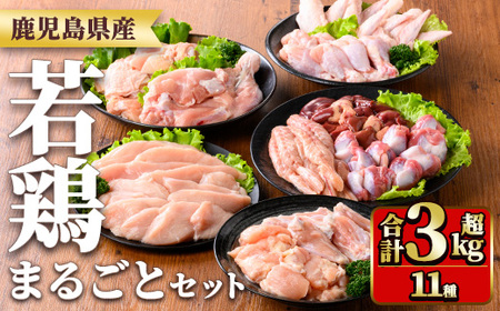 y539 鹿児島県産若鶏まるごとセット(合計3.05kg) 国産 鶏肉 鳥肉 肉 若鶏 お肉 もも肉 モモ肉 むね肉 ムネ肉 胸肉 ささみ ササミ 筋なし 砂肝 肝 手羽先 キチンリブ 手羽元 肩肉 小肉 骨付きモモ セット 詰め合わせ 小分け 冷凍 真空パック 食べ比べ 【TRINITY】