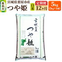 【ふるさと納税】《定期便12ヶ月》【令和6年産・白米】宮城県栗原産 つや姫 毎月5kg (5kg×1袋)×12ヶ月