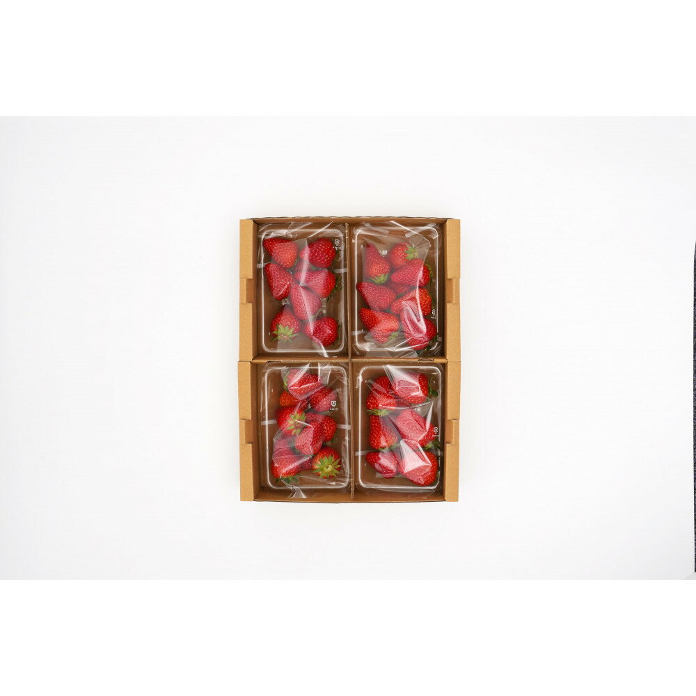 【ふるさと納税】いちご　紅ほっぺ　約1kg（250g×4パック） | 甲賀市 苺 イチゴ いちご 紅ほっぺ 果物 スイーツ 人気 おすすめ 送料無料