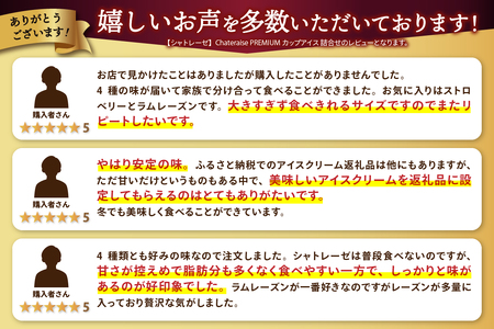 〈2024年2月配送〉【シャトレーゼ】Chateraise PREMIUM カップアイス 詰合せ