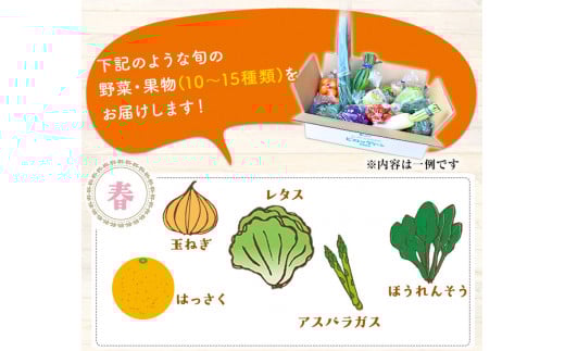 6ヶ月定期便 旬の新鮮野菜・果物詰合せセット(計6回お届け) 10-15品目  道の駅竜北《お申込み月の翌月から出荷開始》---sh_cmitysibtei_21_124000_mo6num1---