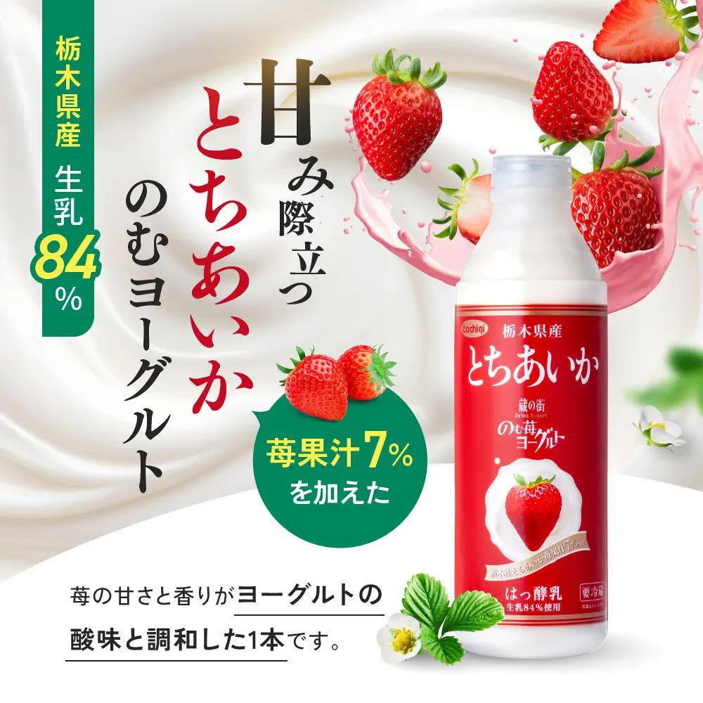 関東・栃木レモン入り乳飲料セット ｜ 栃木乳業 レモン牛乳 生乳 ヨーグルト 栃木市