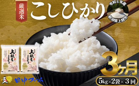 上越市産 新潟 特別米コシヒカリ　5kg×2 3か月定期便  上越市 精米 米 コメ こしひかり ブランド米
