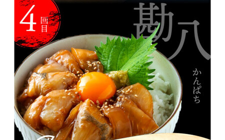 《4ヶ月定期便》芸西村人気海鮮の4ヶ月定期便【漬け丼】