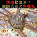 【ふるさと納税】1248 松葉ガニ【訳ありAセット】(弁慶丸)【到着日指定不可】　鳥取　送料無料