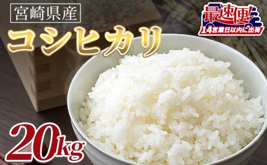 ＜令和7年度産　宮崎県産コシヒカリ　20kg＞14営業日以内に順次出荷【 国産 米 お米 最速便 白米 精米 こしひかり ごはん ご飯 白飯 食品 】