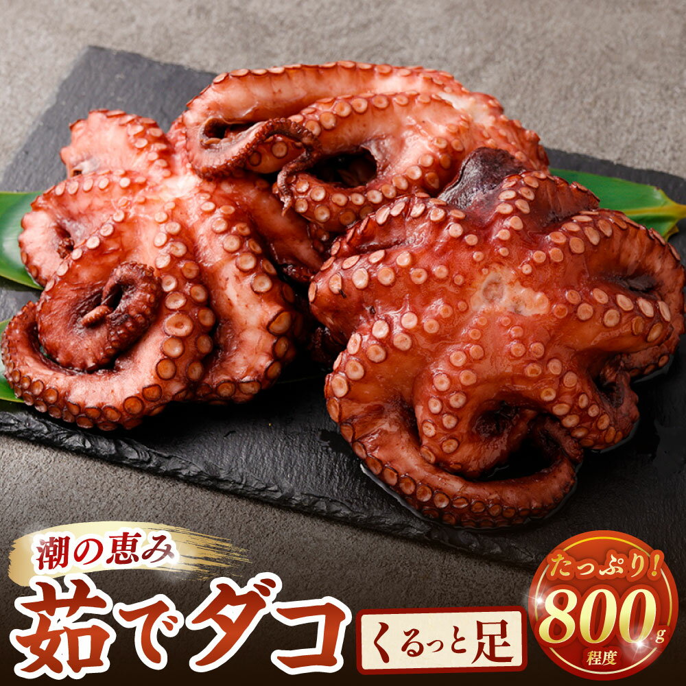 【ふるさと納税】潮の恵み 茹でダコくるっと足 1杯（800g程度） マダコ タコ たこ 蛸 真蛸 魚介類 水産物 海産物 お祝い 贈答 冷凍 国産 大阪府 阪南市 送料無料